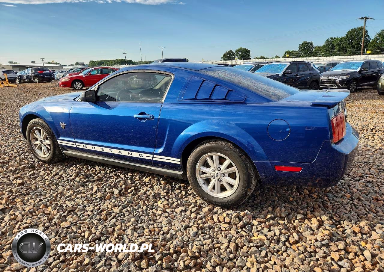 2009 Ford Mustang VIN:1ZVHT80N595134388 - 2