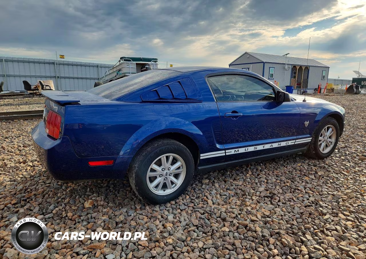2009 Ford Mustang VIN:1ZVHT80N595134388 - 3