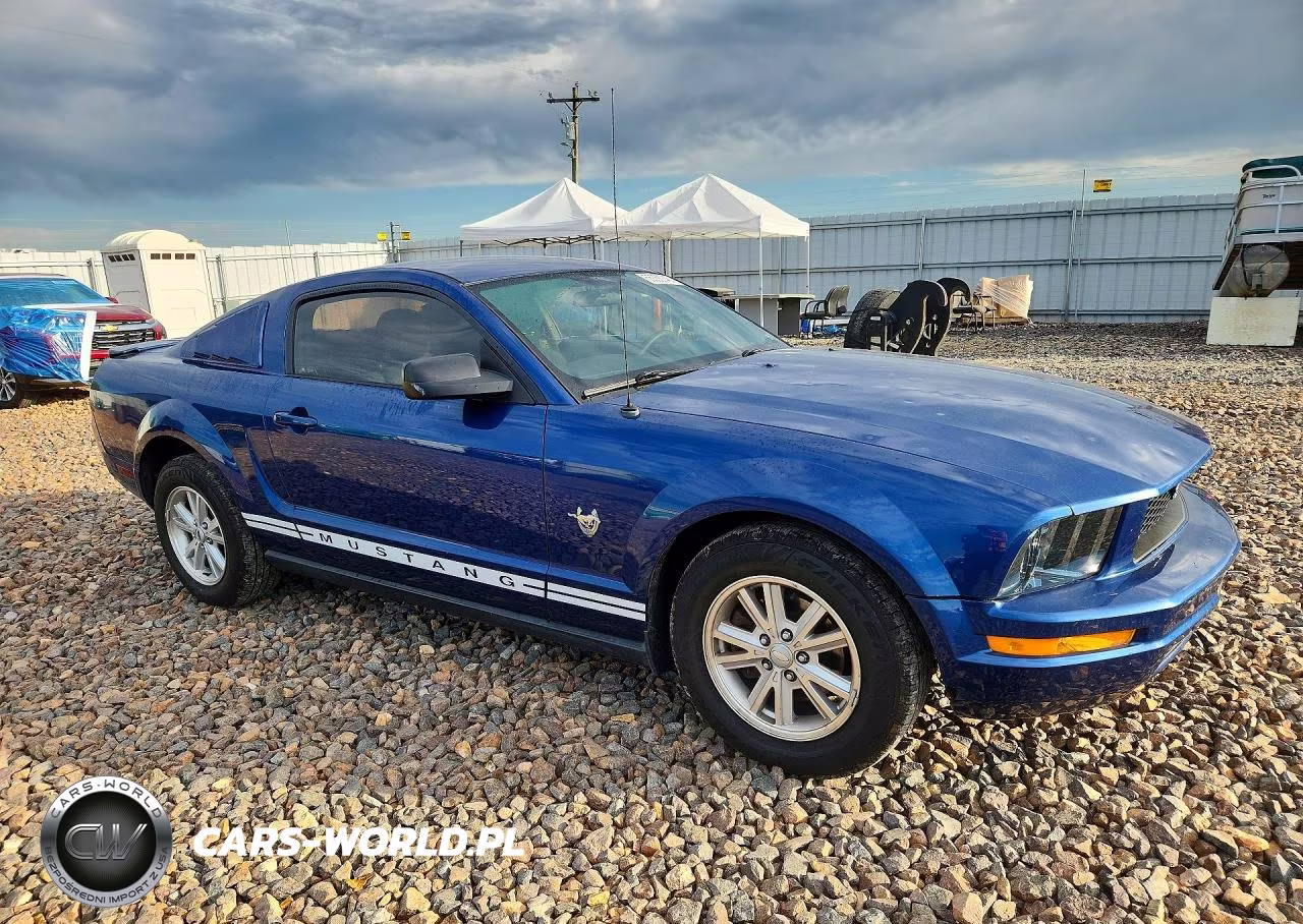 2009 Ford Mustang VIN:1ZVHT80N595134388 - 4