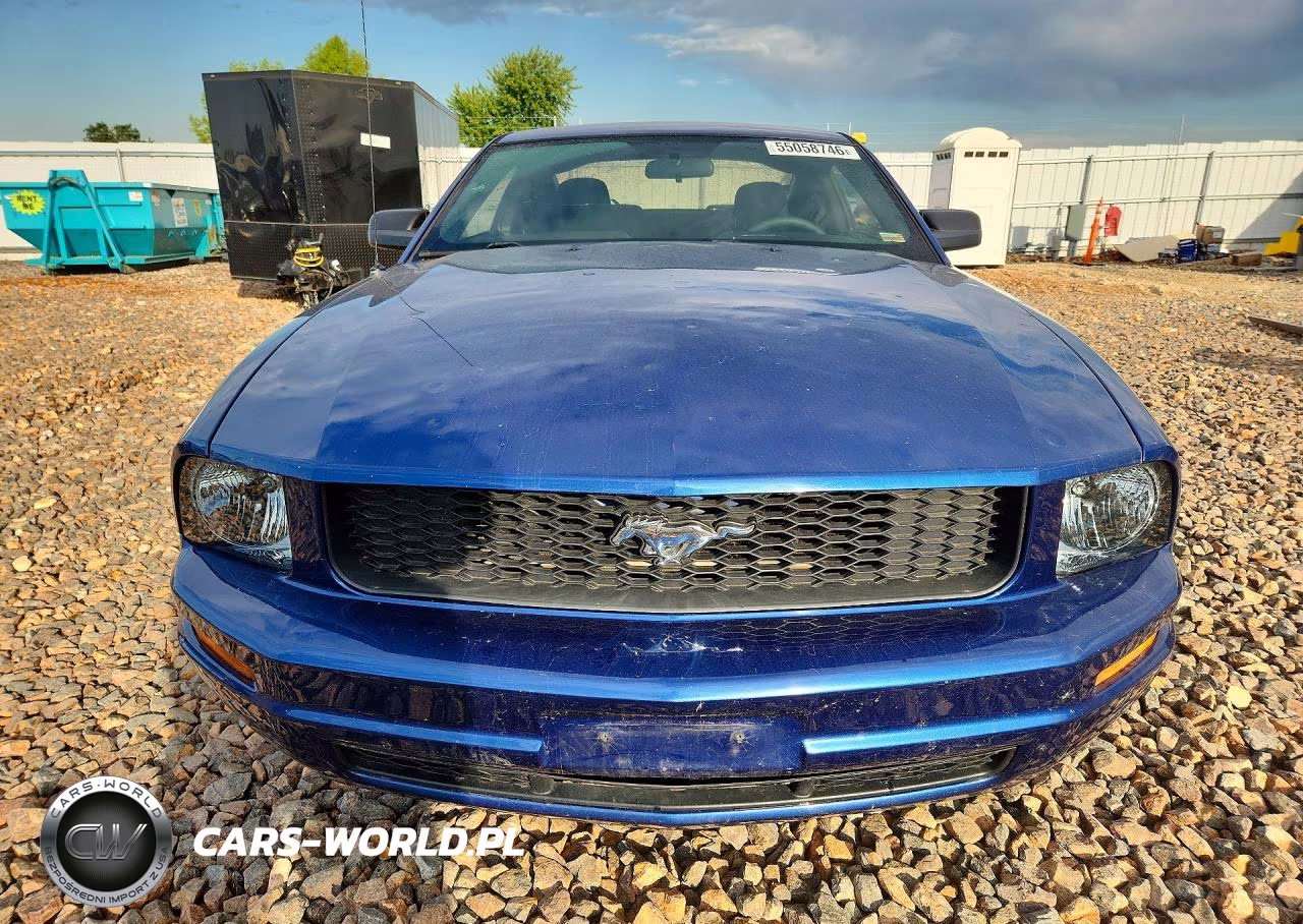 2009 Ford Mustang VIN:1ZVHT80N595134388 - 5