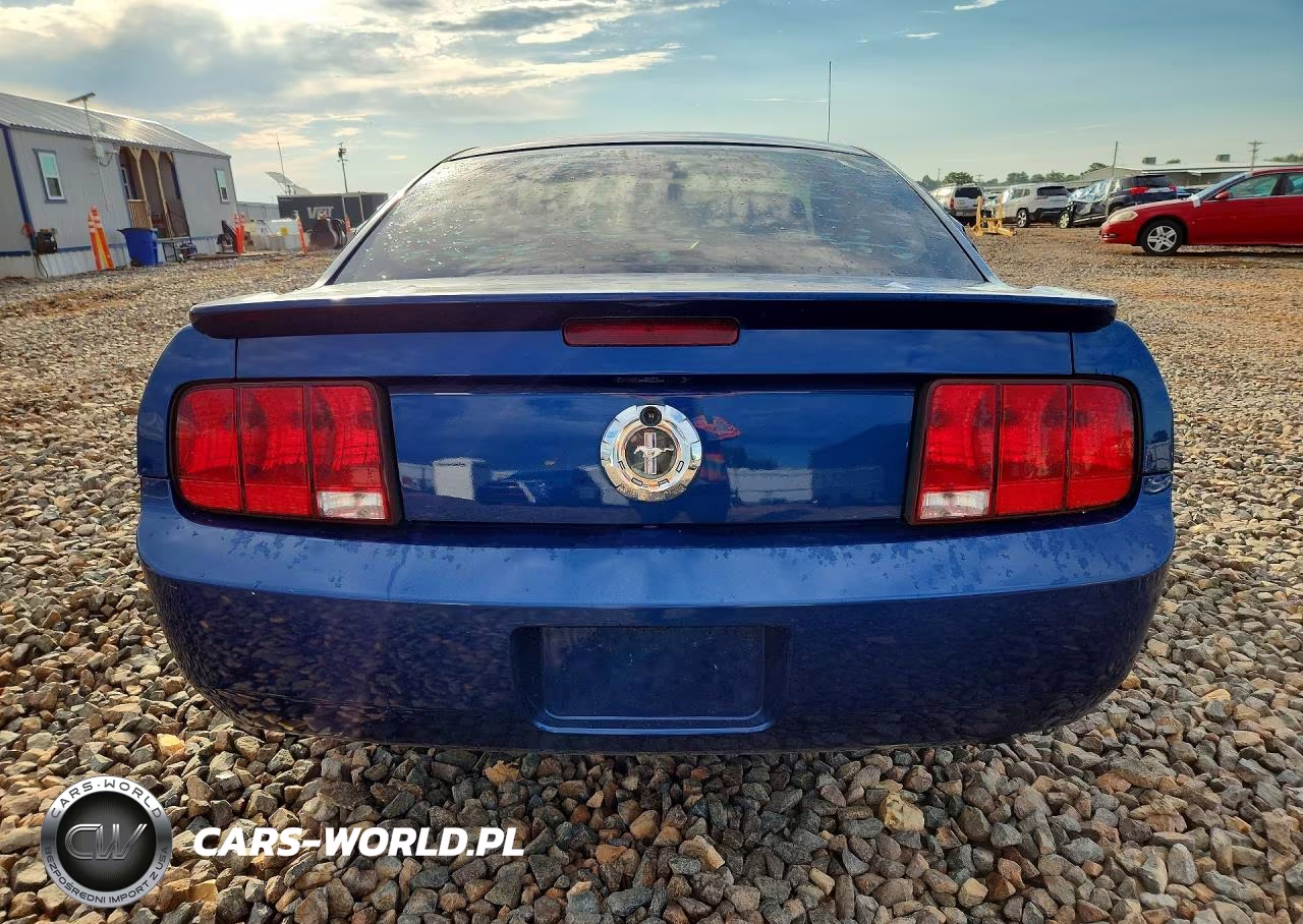 2009 Ford Mustang VIN:1ZVHT80N595134388 - 6
