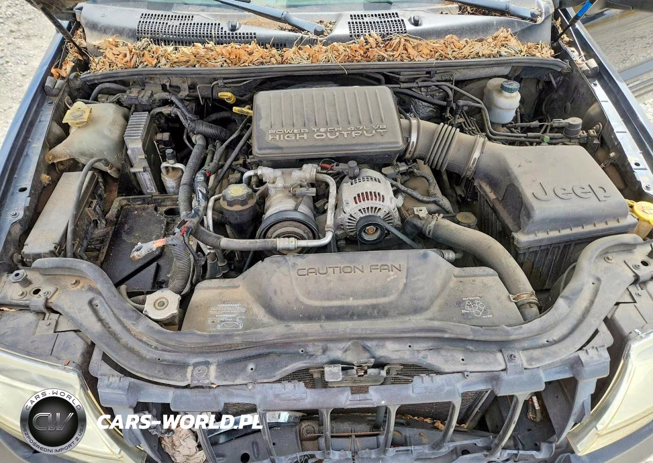 2004 Jeep Grand Cherokee Limited VIN:1J4GW58J64C294719 - 12