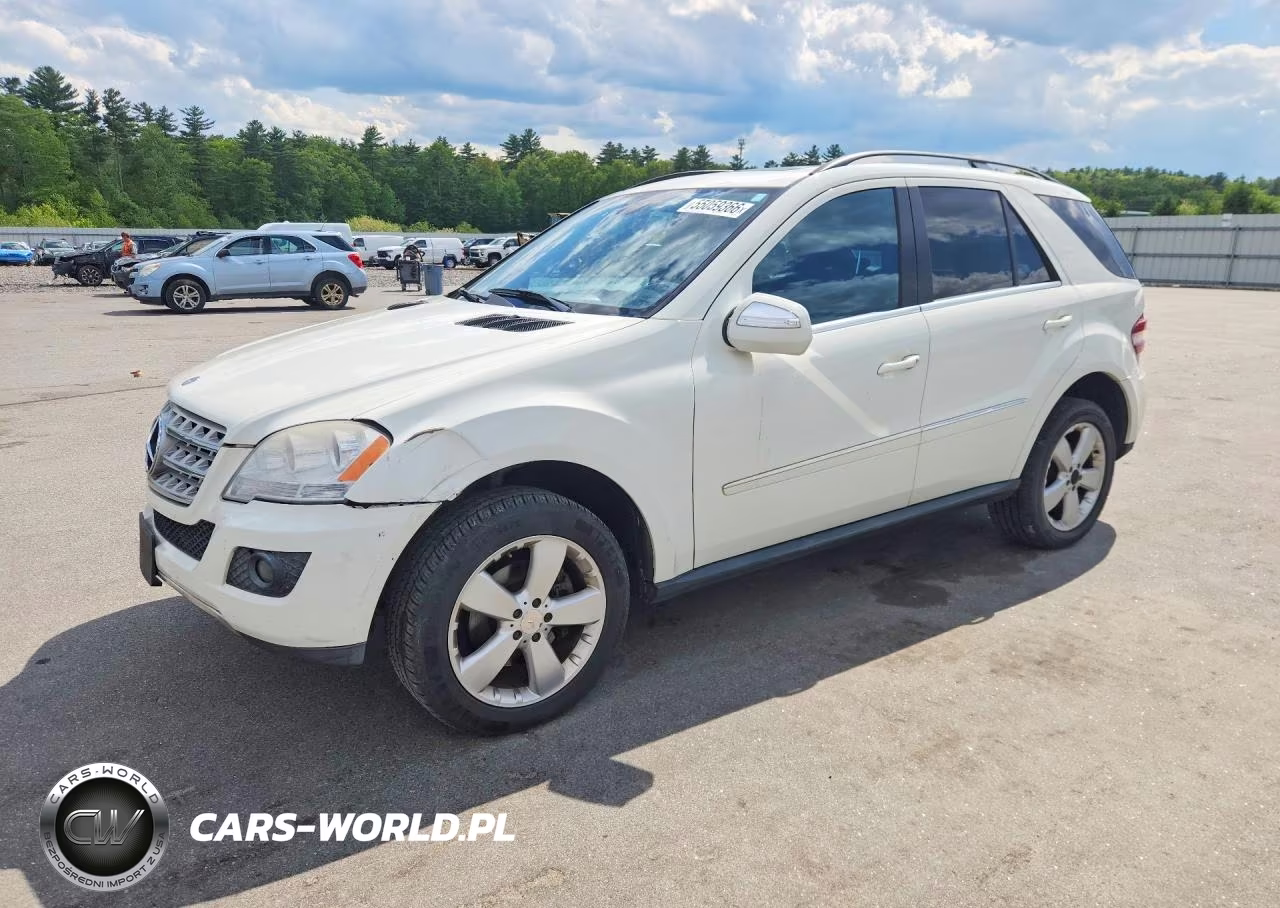 2010 Mercedes-Benz Ml 350 4Matic