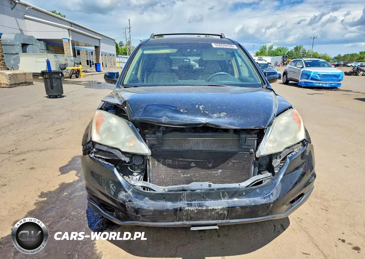 2010 Honda Cr-V Exl VIN:5J6RE4H73AL092989 - 5