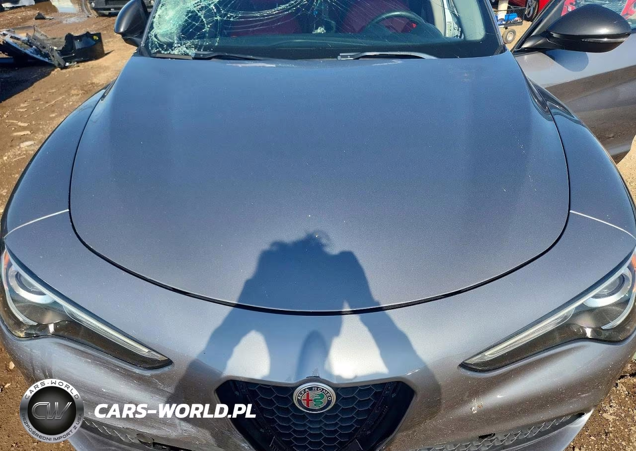 2020 Alfa Romeo Stelvio VIN:ZASPAKAN8L7C91447 - 11