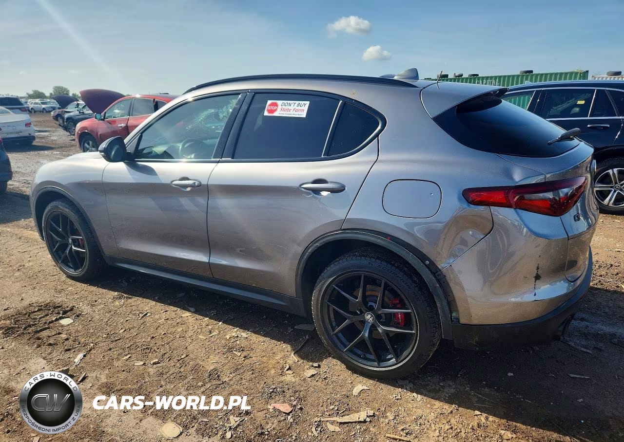 2020 Alfa Romeo Stelvio VIN:ZASPAKAN8L7C91447 - 2