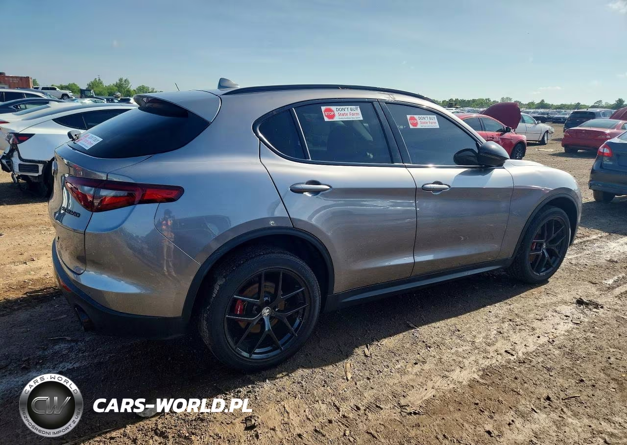 2020 Alfa Romeo Stelvio VIN:ZASPAKAN8L7C91447 - 3