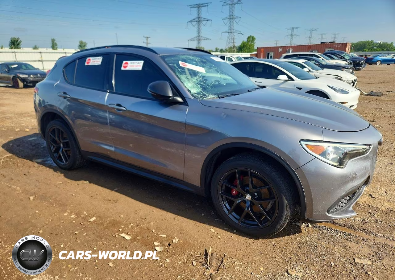 2020 Alfa Romeo Stelvio VIN:ZASPAKAN8L7C91447 - 4