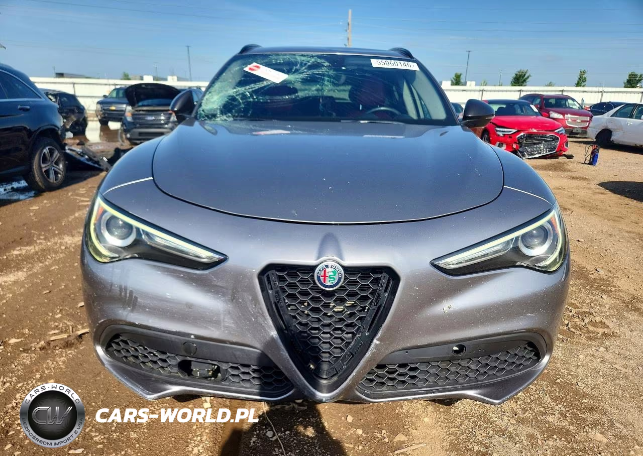 2020 Alfa Romeo Stelvio VIN:ZASPAKAN8L7C91447 - 5
