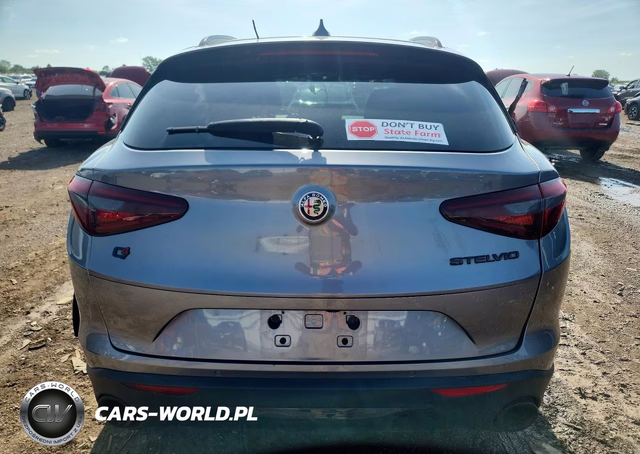 2020 Alfa Romeo Stelvio VIN:ZASPAKAN8L7C91447 - 6