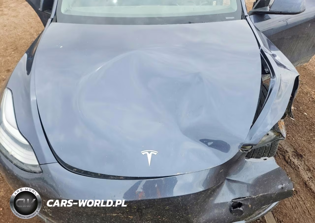 2023 Tesla Model Y VIN:7SAYGDEE4PF601680 - 11