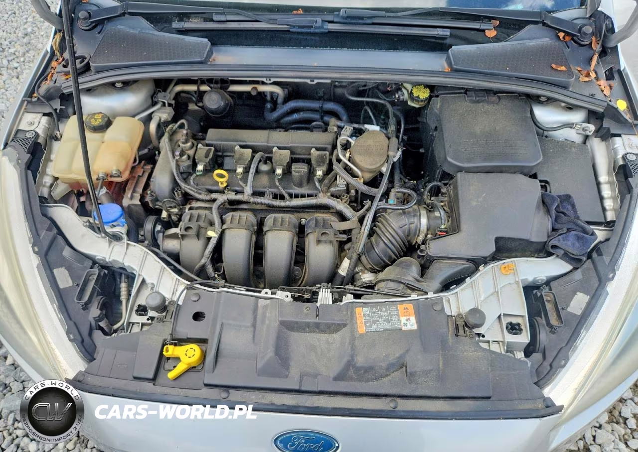 2015 Ford Focus S VIN:1FADP3E23FL338661 - 11