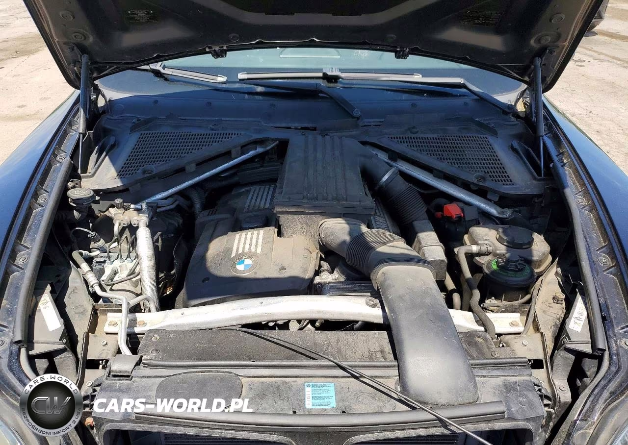 2009 BMW X5 xDrive30I VIN:5UXFE43519L273730 - 12