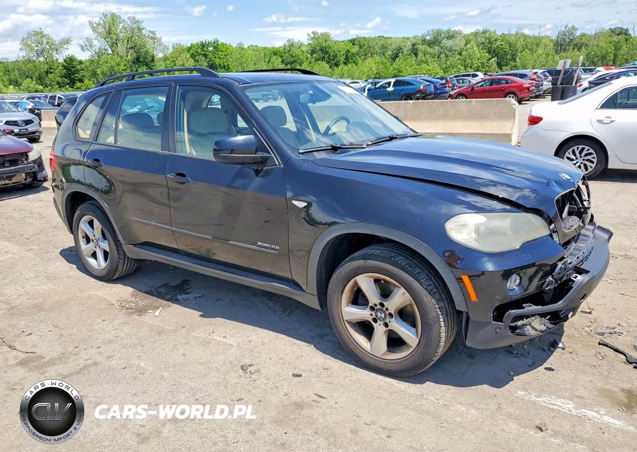 2009 BMW X5 xDrive30I VIN:5UXFE43519L273730 - 4