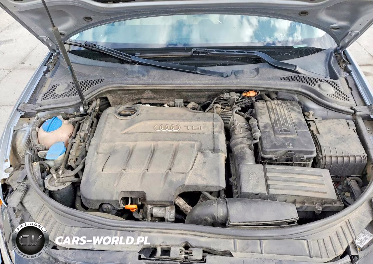 2011 Audi A3 Premium Plus VIN:WAUKJBFM6BA124313 - 11