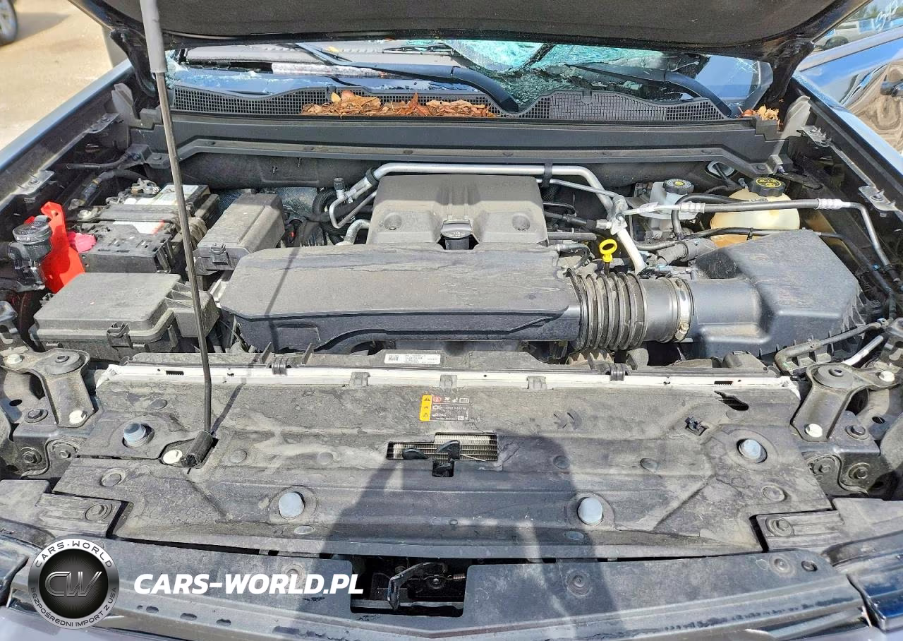 2023 Chevrolet Colorado VIN:1GCPSCEK3P1227532 - 11