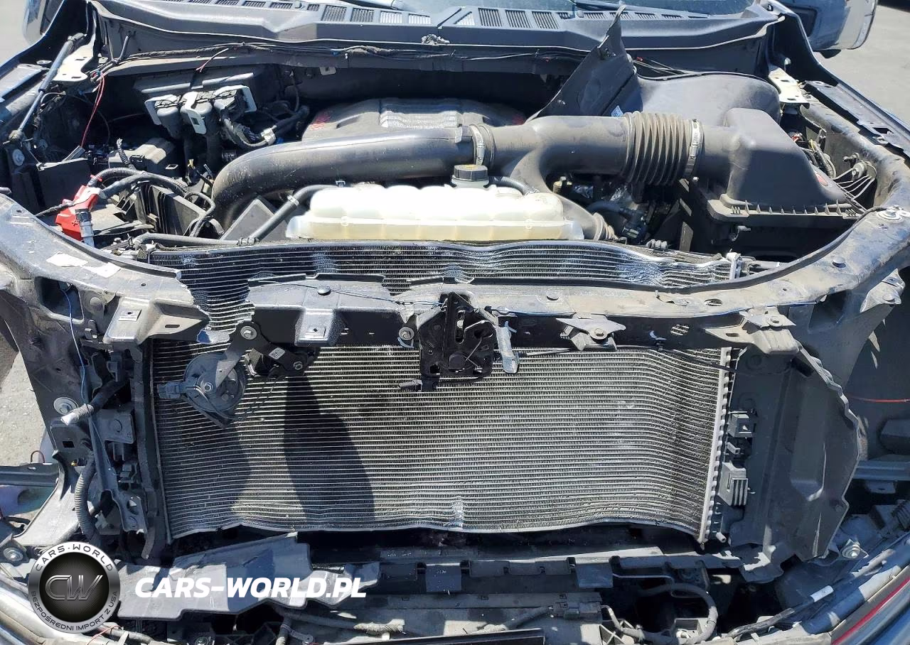 2023 Ford F150 Supercrew VIN:1FTFW1E86PKD96186 - 11
