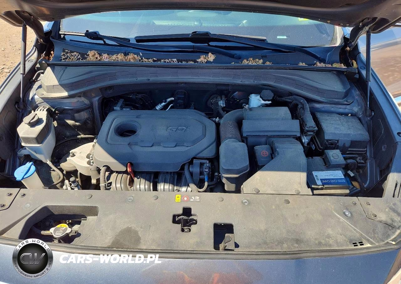 2019 Hyundai Santa Fe Se VIN:5NMS2CAD7KH072113 - 12
