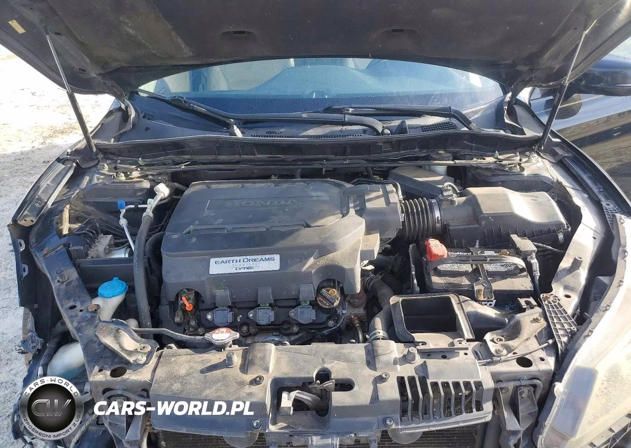 2013 Honda Accord Exl VIN:1HGCR3F84DA029052 - 11