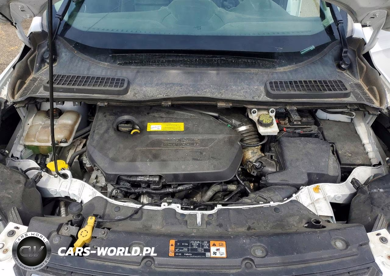 2015 Ford Escape Se VIN:1FMCU9GX4FUB55124 - 12