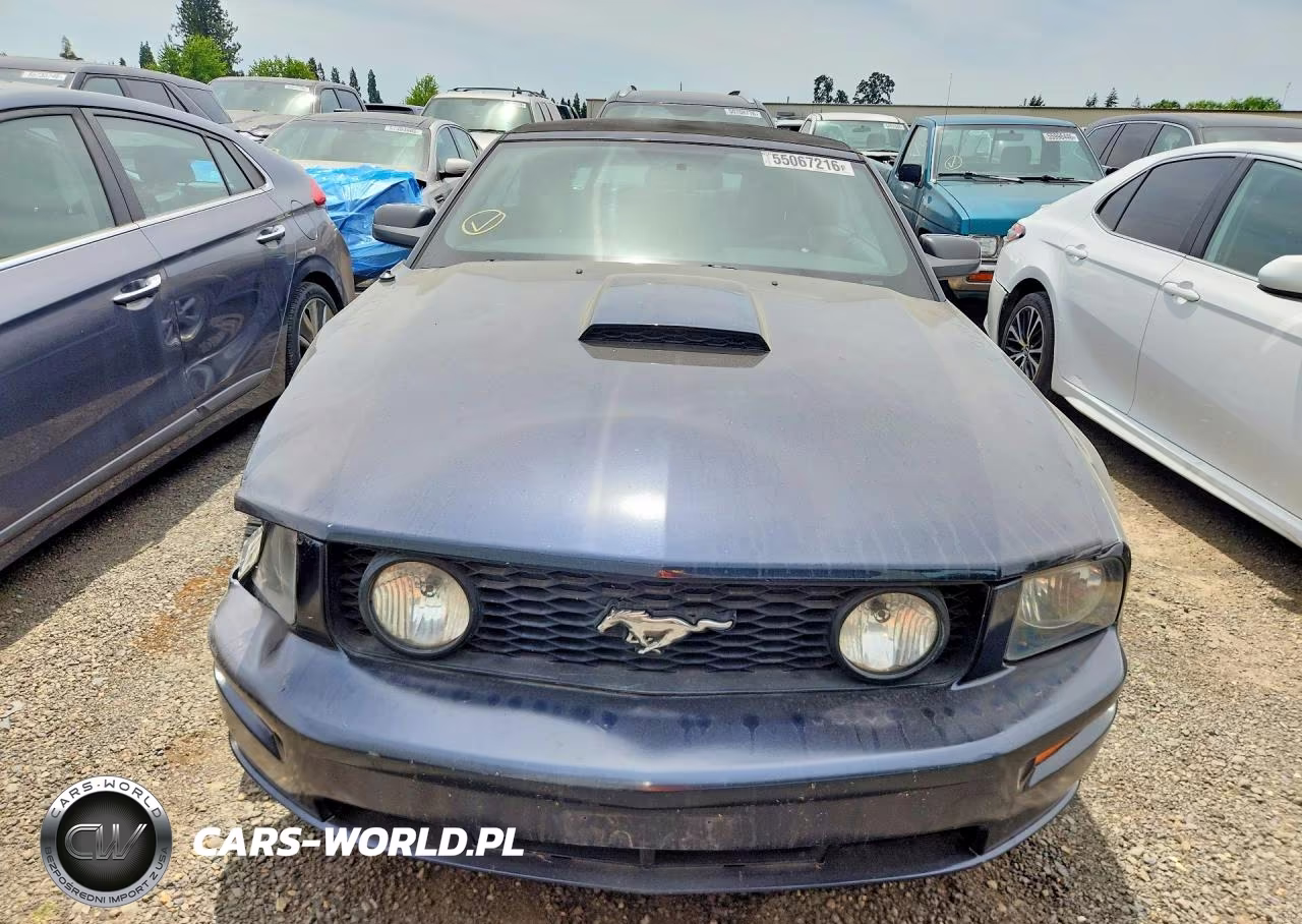 2007 Ford Mustang Gt VIN:1ZVHT85H175347399 - 5