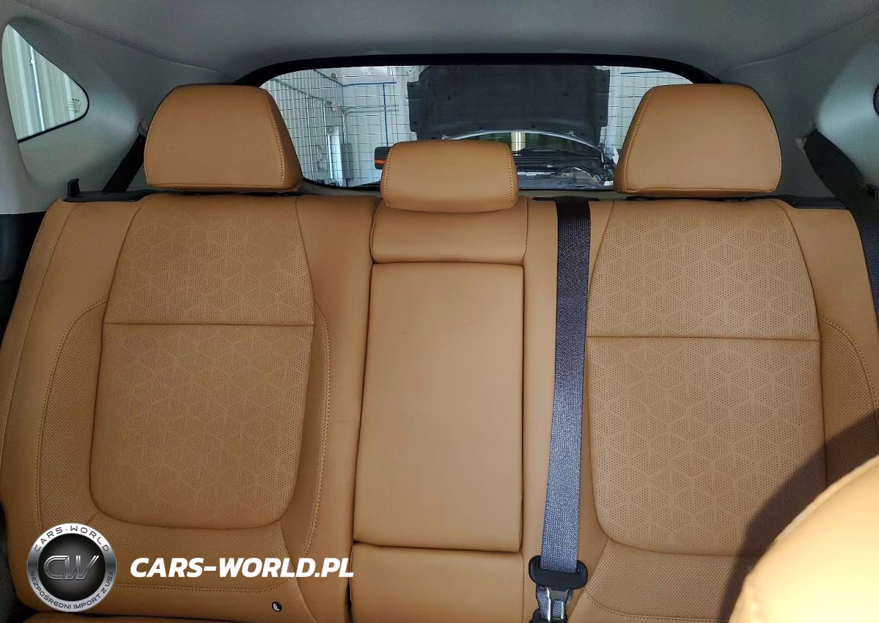 2024 Kia Seltos Ex VIN:KNDERCAA9R7492648 - 10
