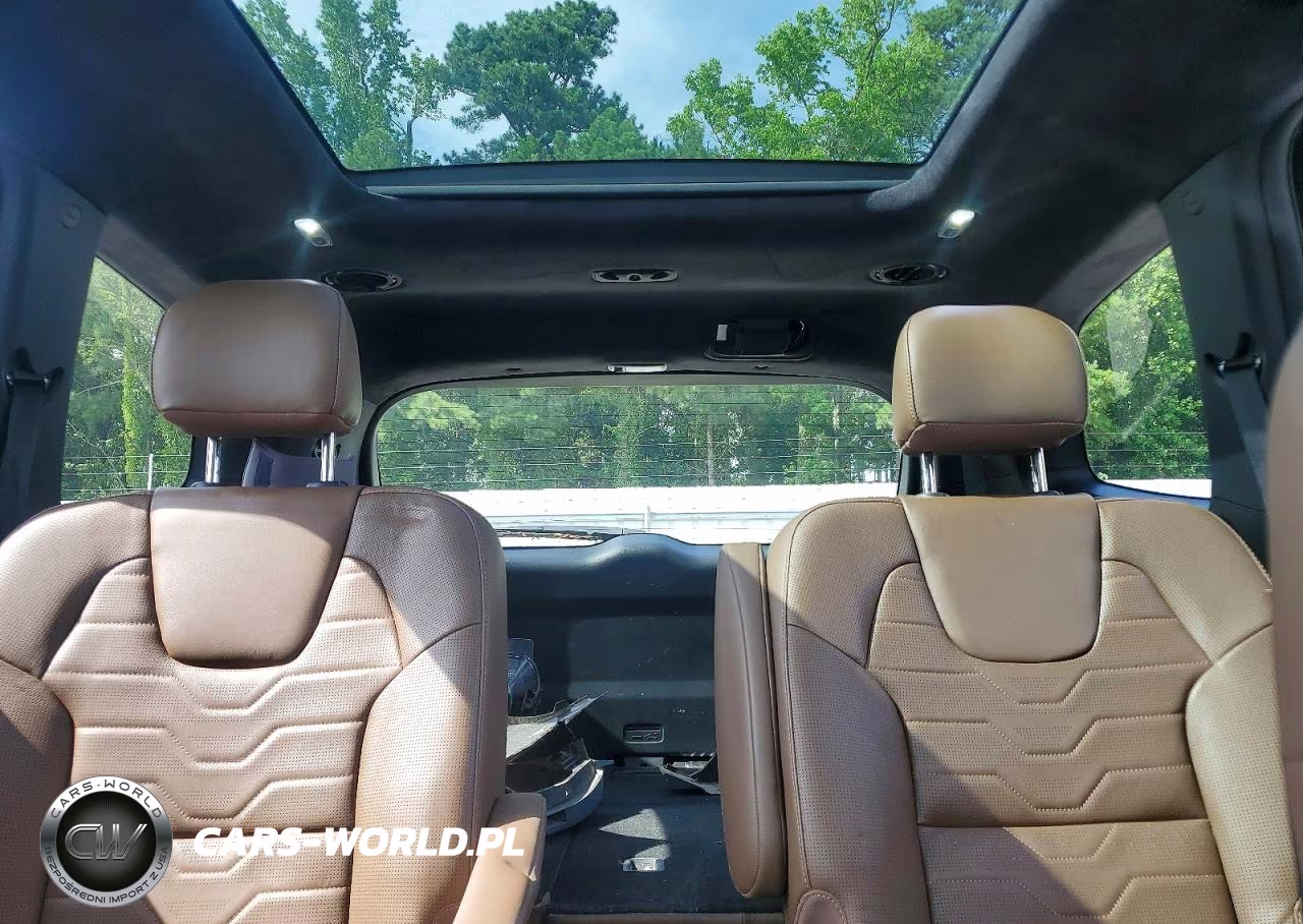 2021 Kia Telluride Sx VIN:5XYP5DHC9MG103178 - 10