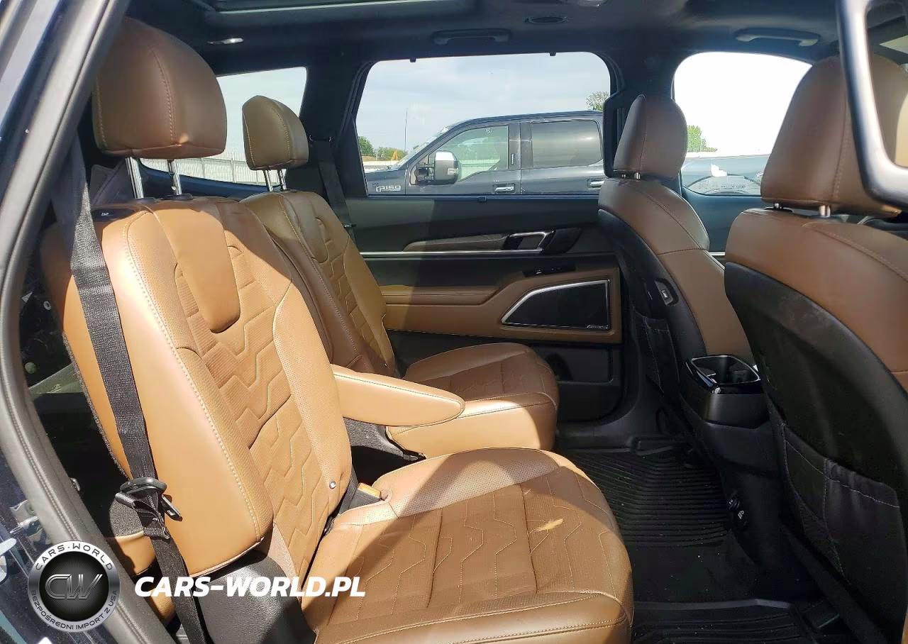 2021 Kia Telluride Sx VIN:5XYP5DHC9MG103178 - 11