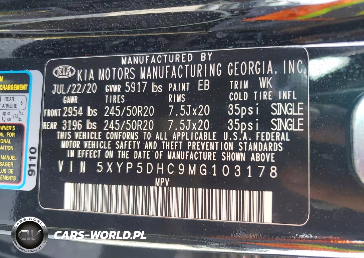 2021 Kia Telluride Sx VIN:5XYP5DHC9MG103178 - 13