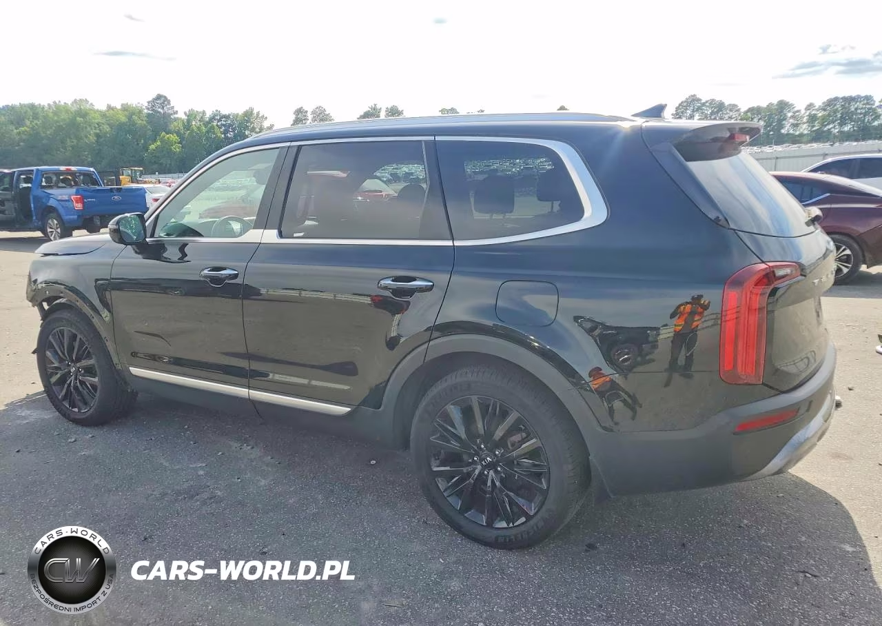 2021 Kia Telluride Sx VIN:5XYP5DHC9MG103178 - 2