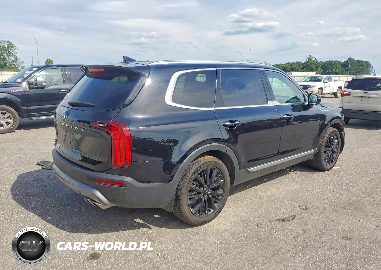 2021 Kia Telluride Sx VIN:5XYP5DHC9MG103178 - 3