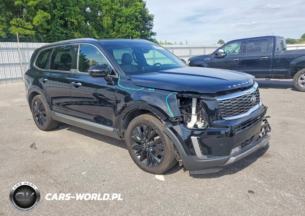 2021 Kia Telluride Sx VIN:5XYP5DHC9MG103178 - 4
