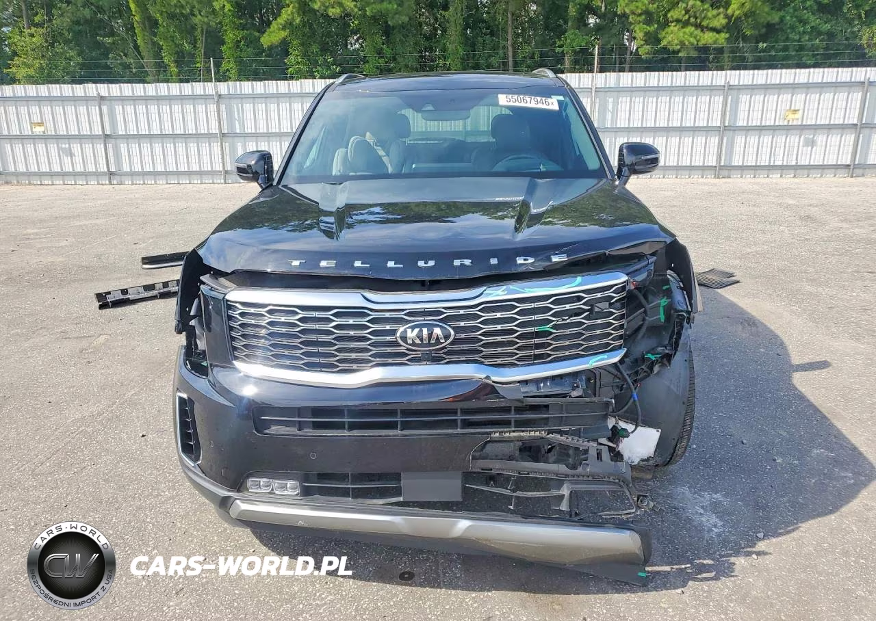 2021 Kia Telluride Sx VIN:5XYP5DHC9MG103178 - 5