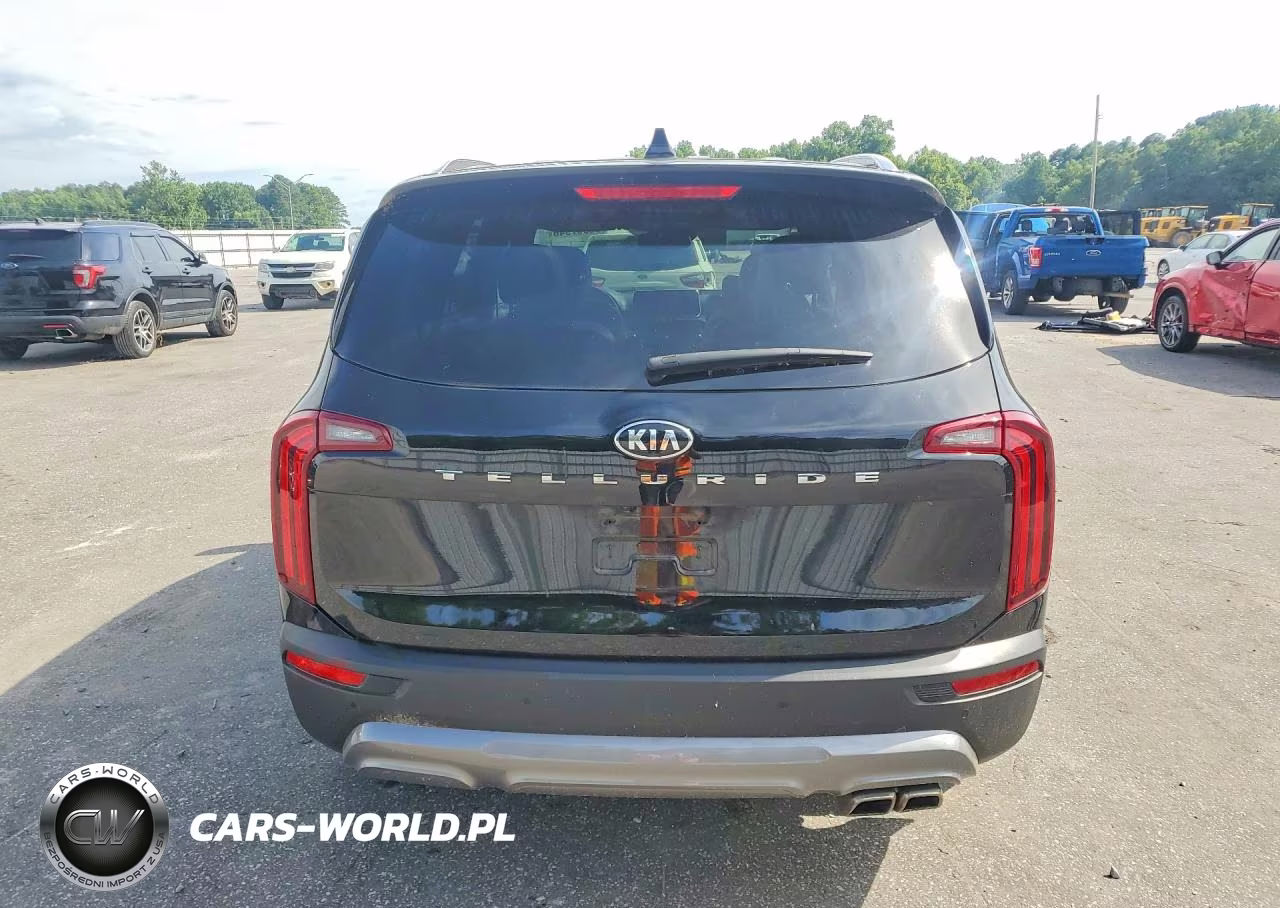 2021 Kia Telluride Sx VIN:5XYP5DHC9MG103178 - 6