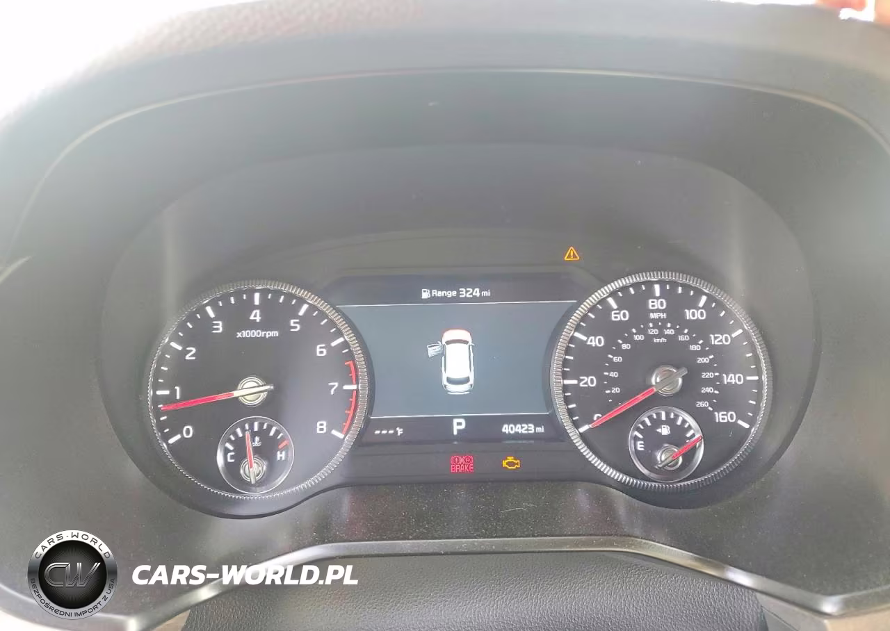 2021 Kia Telluride Sx VIN:5XYP5DHC9MG103178 - 9