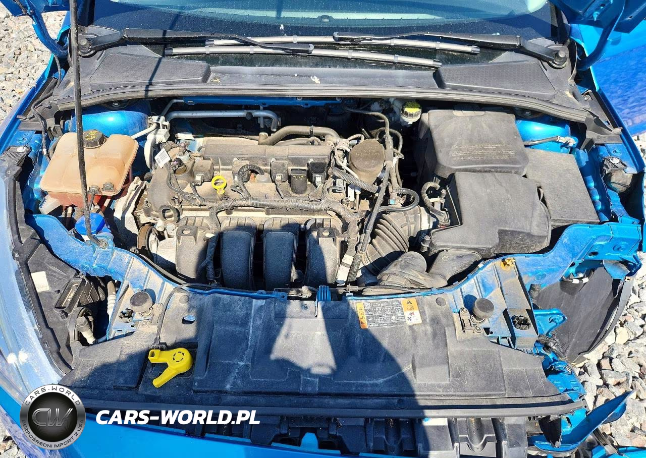 2016 Ford Focus Se VIN:1FADP3K25GL253861 - 11