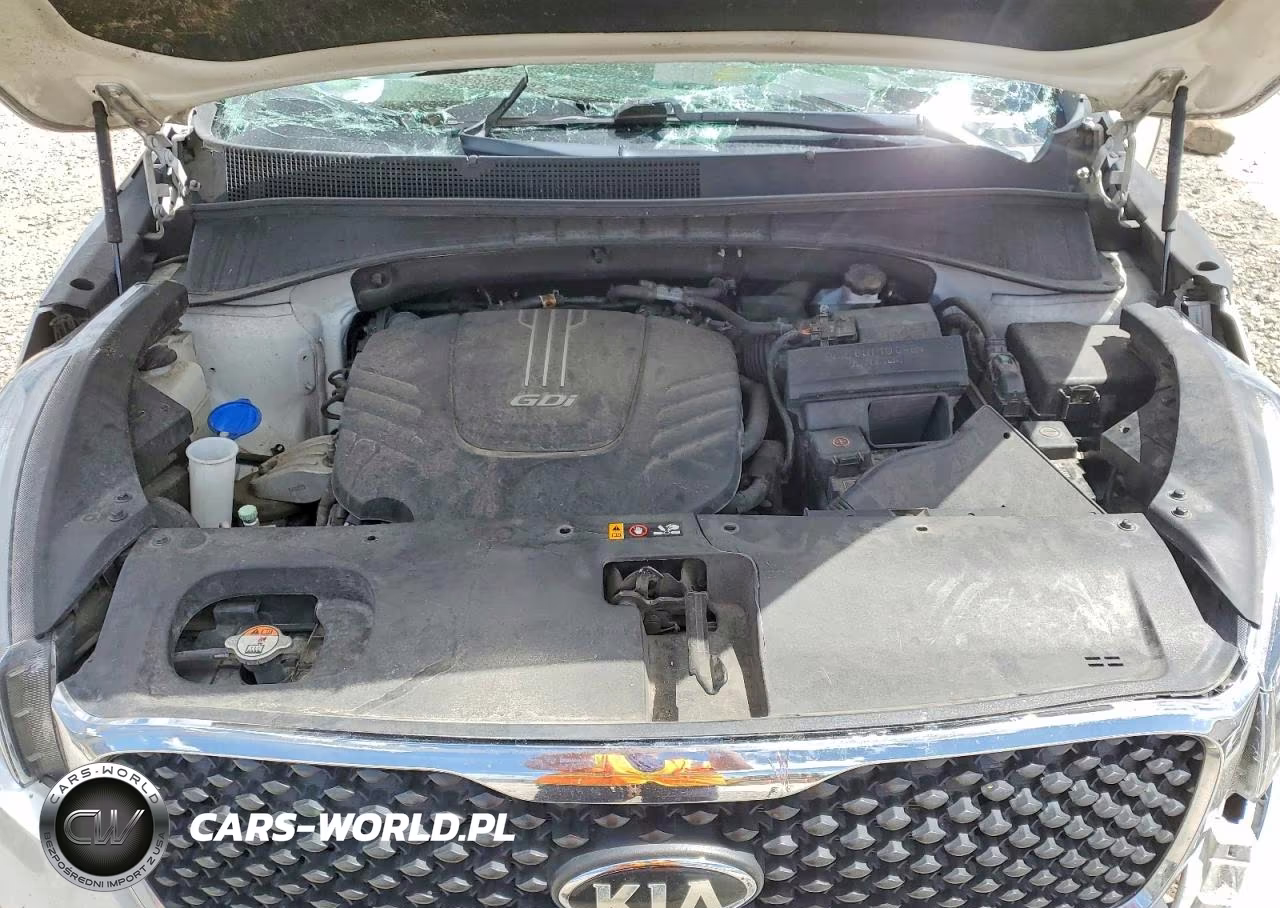 2017 Kia Sorento Lx V6 VIN:5XYPGDA59HG197347 - 11