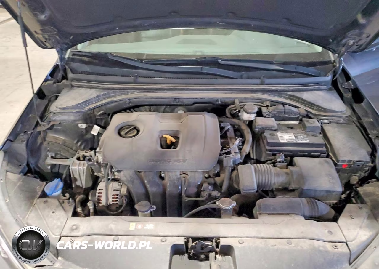 2020 Hyundai Elantra Limited VIN:5NPD84LF4LH594696 - 11
