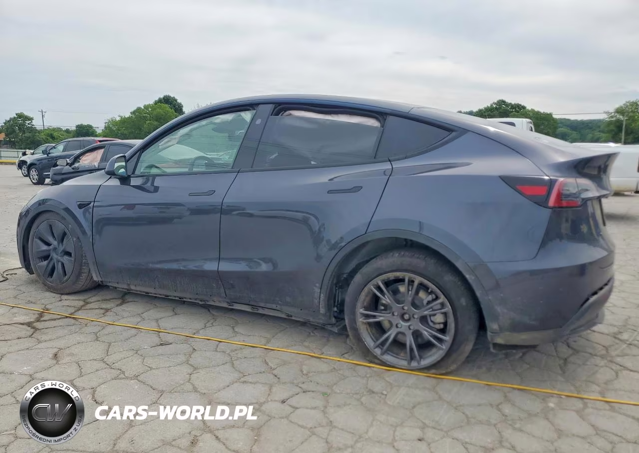 2025 Tesla Model Y VIN:7SAYGDEDXSA349611 - 2