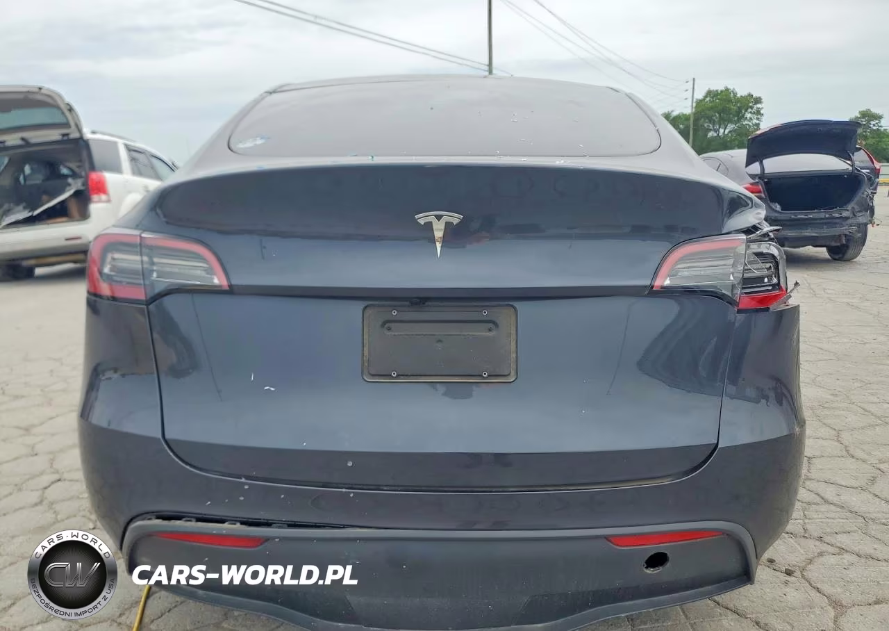 2025 Tesla Model Y VIN:7SAYGDEDXSA349611 - 6