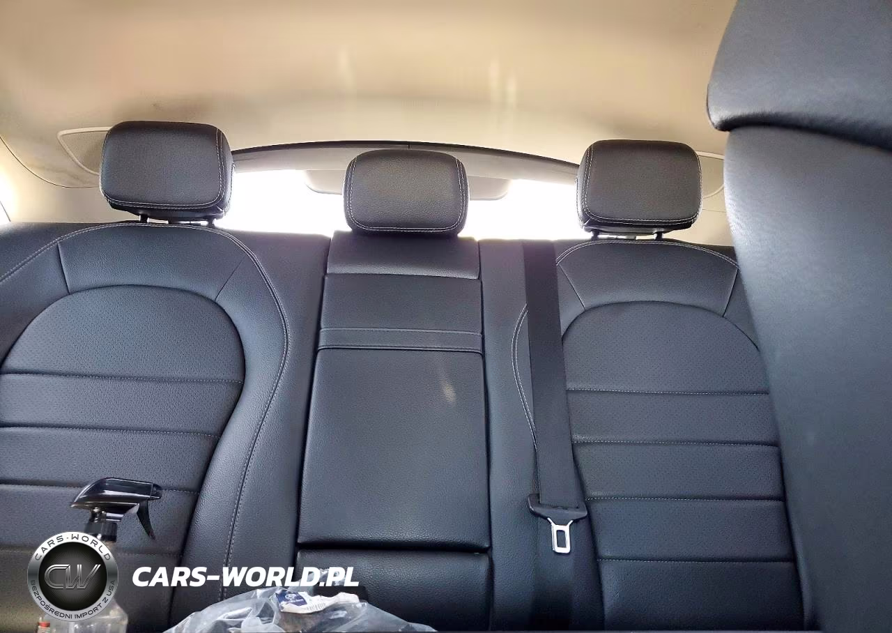 2017 Mercedes-Benz Glc Coupe 300 4Matic VIN:WDC0J4KBXHF234068 - 10