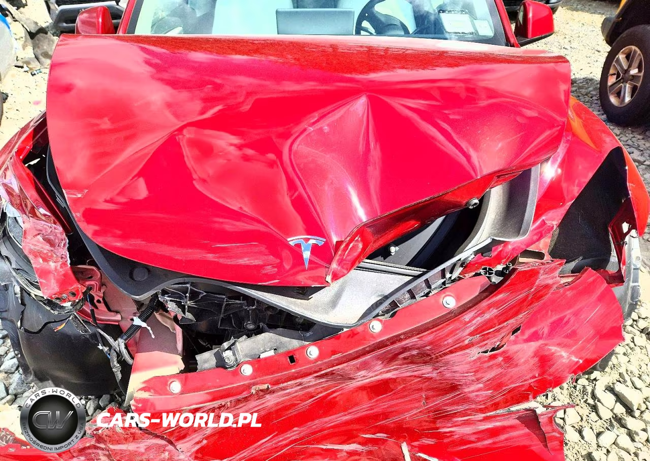 2024 Tesla Model Y VIN:7SAYGDEDXRF046387 - 11