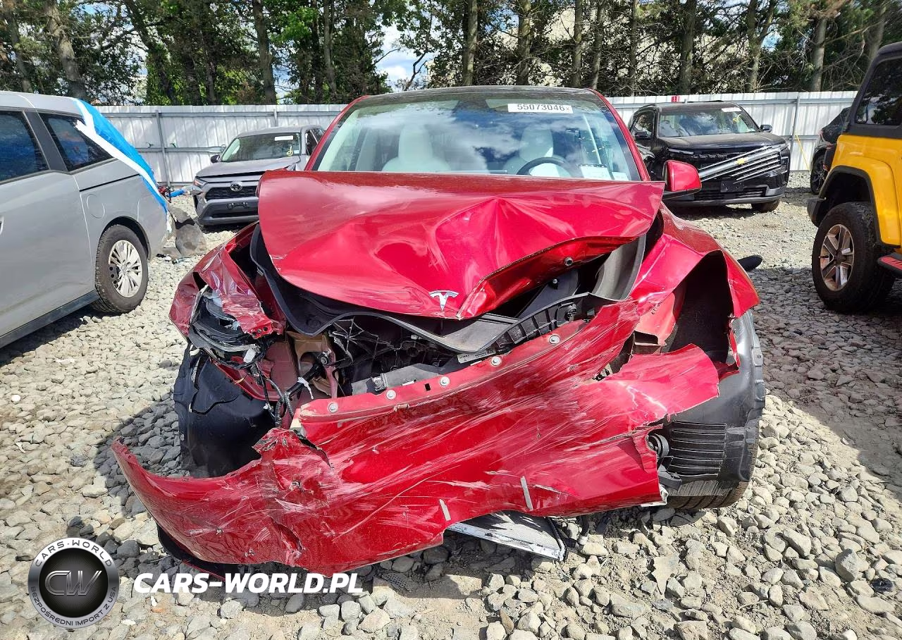 2024 Tesla Model Y VIN:7SAYGDEDXRF046387 - 5