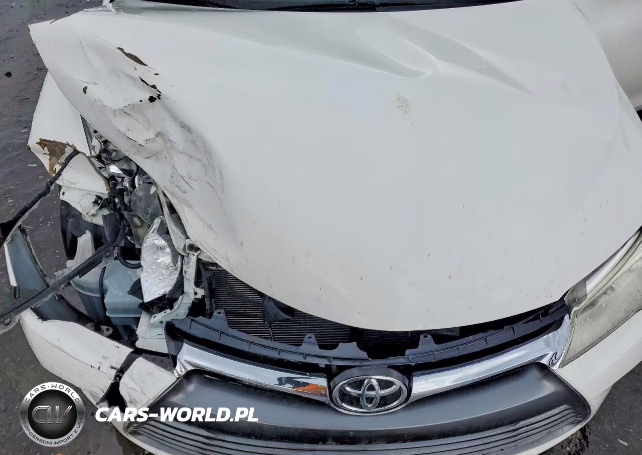 2017 Toyota Camry Le VIN:4T1BF1FK7HU341157 - 11