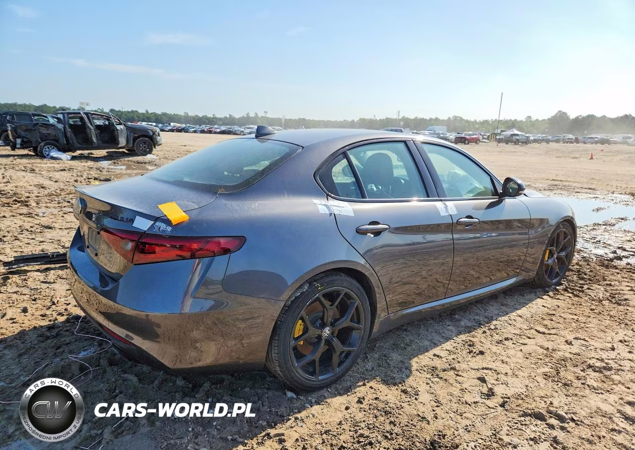 2020 Alfa Romeo Giulia VIN:ZARFAMAN0L7632149 - 3