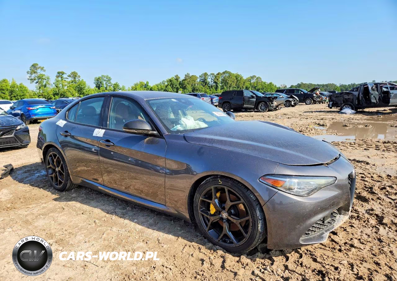 2020 Alfa Romeo Giulia VIN:ZARFAMAN0L7632149 - 4