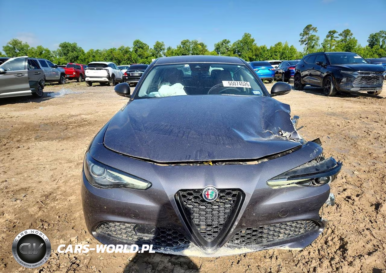 2020 Alfa Romeo Giulia VIN:ZARFAMAN0L7632149 - 5