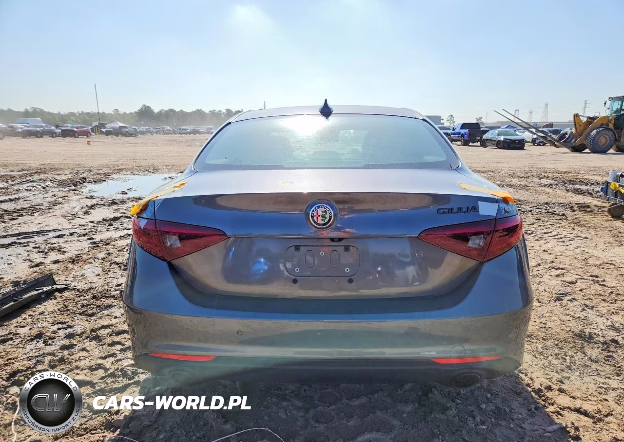 2020 Alfa Romeo Giulia VIN:ZARFAMAN0L7632149 - 6