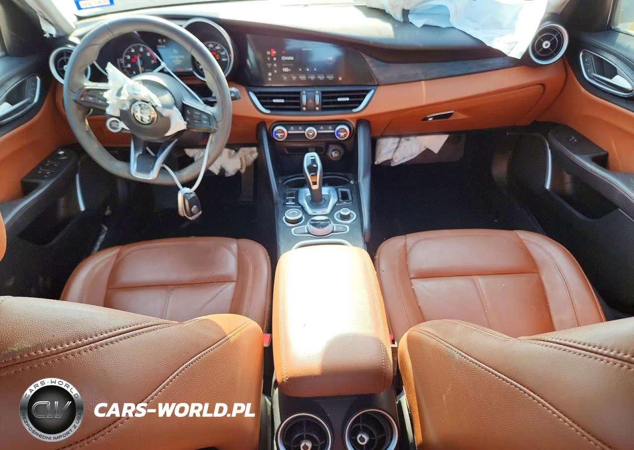 2020 Alfa Romeo Giulia VIN:ZARFAMAN0L7632149 - 8
