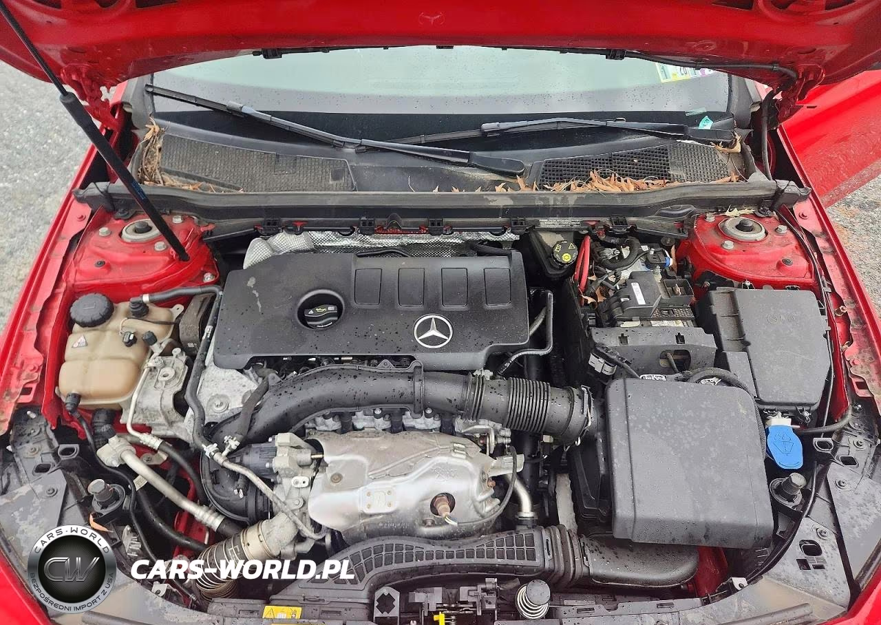 2019 Mercedes-Benz A 220 4Matic VIN:WDD3G4FB2KW024346 - 11
